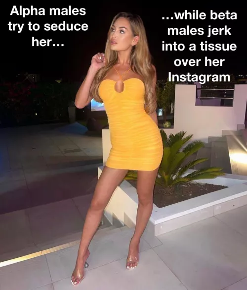 Which one are you? by donlogan83