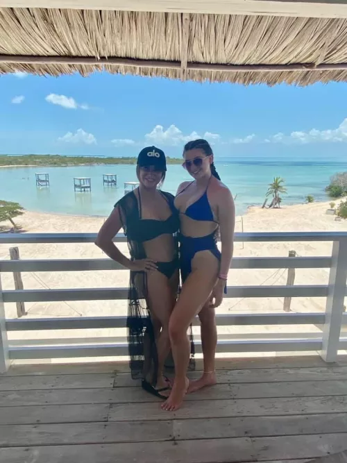 Which one? by Hammerman45