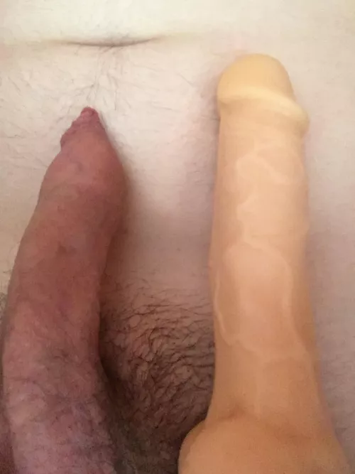 Which one you choosing? I’m curious x by Coopsinator