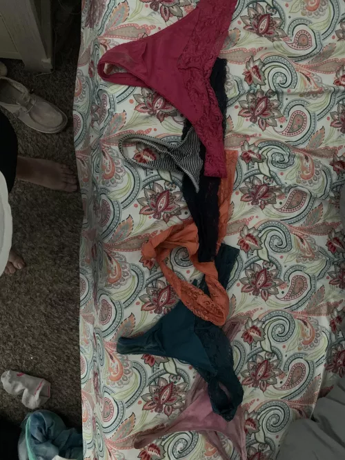 Which pair of my wife’s dirty panties do you want to see me wear? 🍆 by CuriousCowboy85