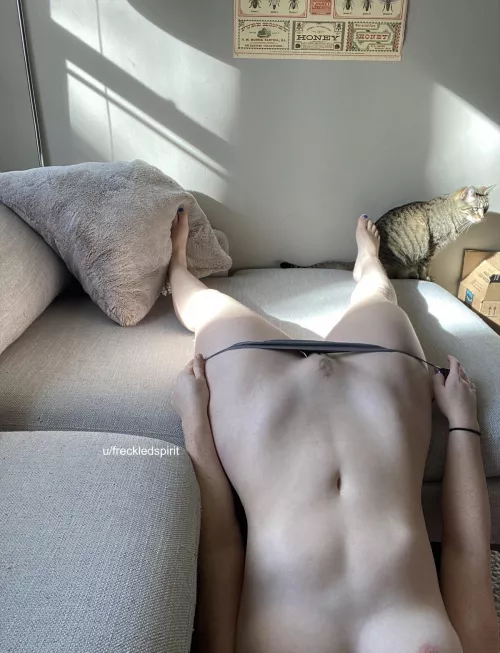 Which part do you want first? by freckledspirit