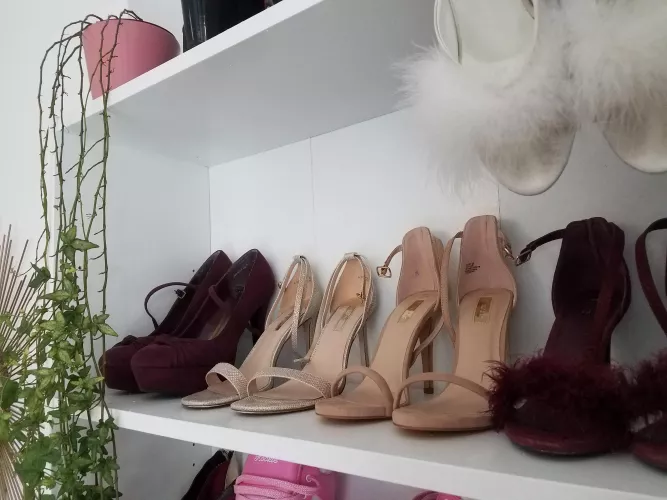 Which should I wear? by Gingerfox7474