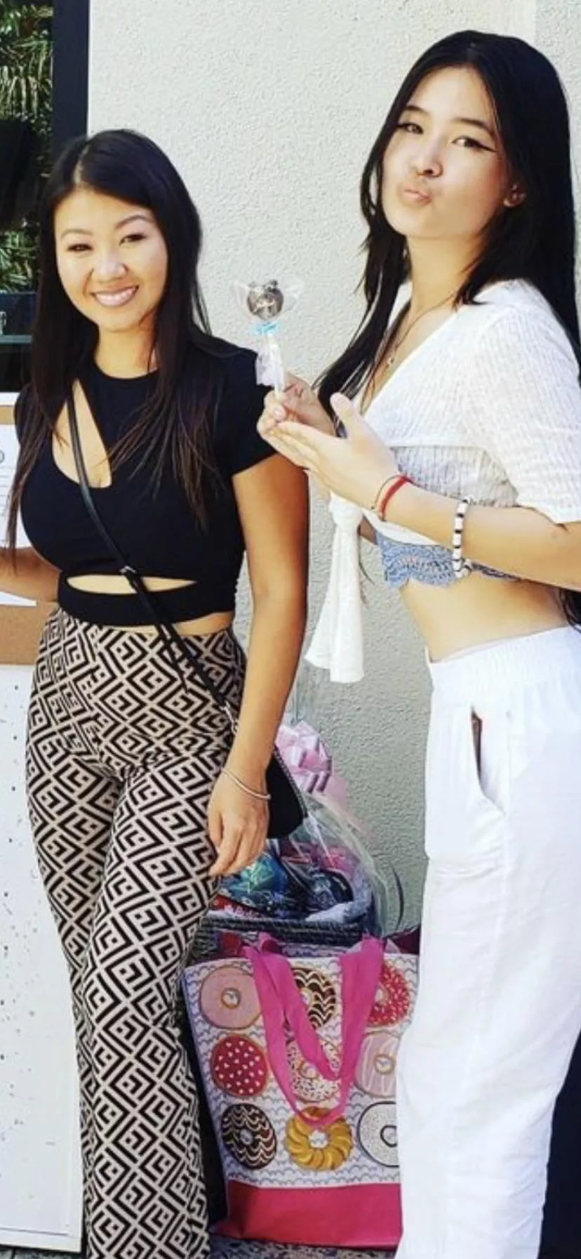 Which vietnamese sister would you rather smash posted by kingsavage678