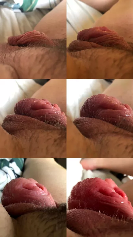 Which view do you like the most? Part2 by Yougrindingonmyface