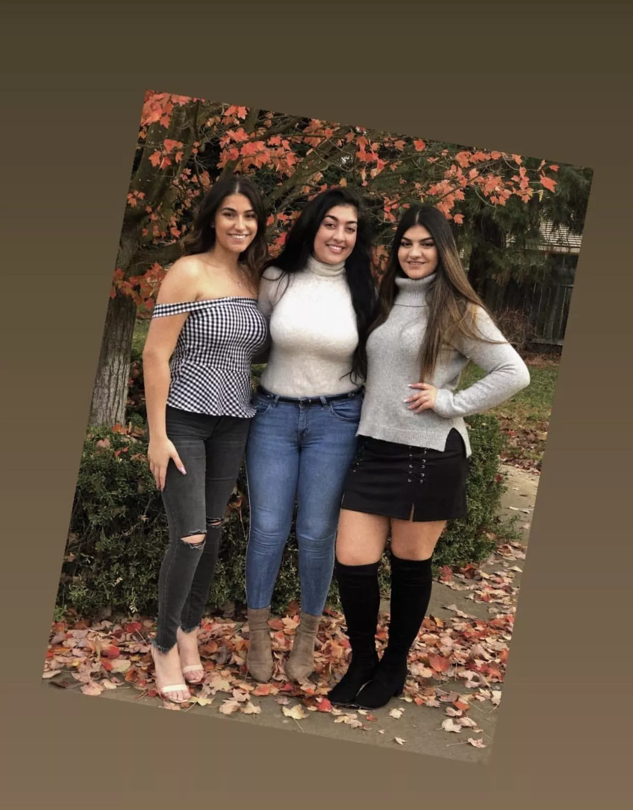 Which will take your babies? posted by DogeinBush