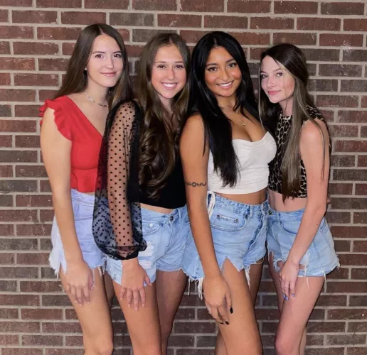 Which would you pick by Plenty_Grand_9510