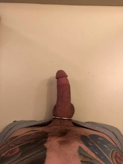 Whip it out by 403johnny