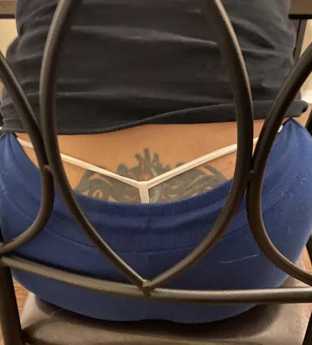 White tail!! by xxxavier15