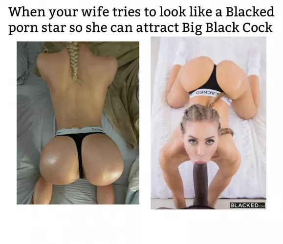 White wives trying so hard to attract BBC these days by MouthfulOfBBC