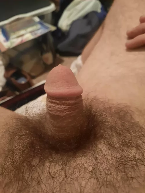 Who can help me get this cock hard by Hensley1586