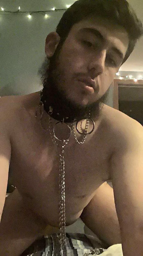 Who can walk me? by Time-Advantage-3654