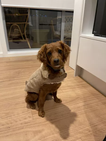 Who doesn’t love corduroy!? by Optimus_Swine71