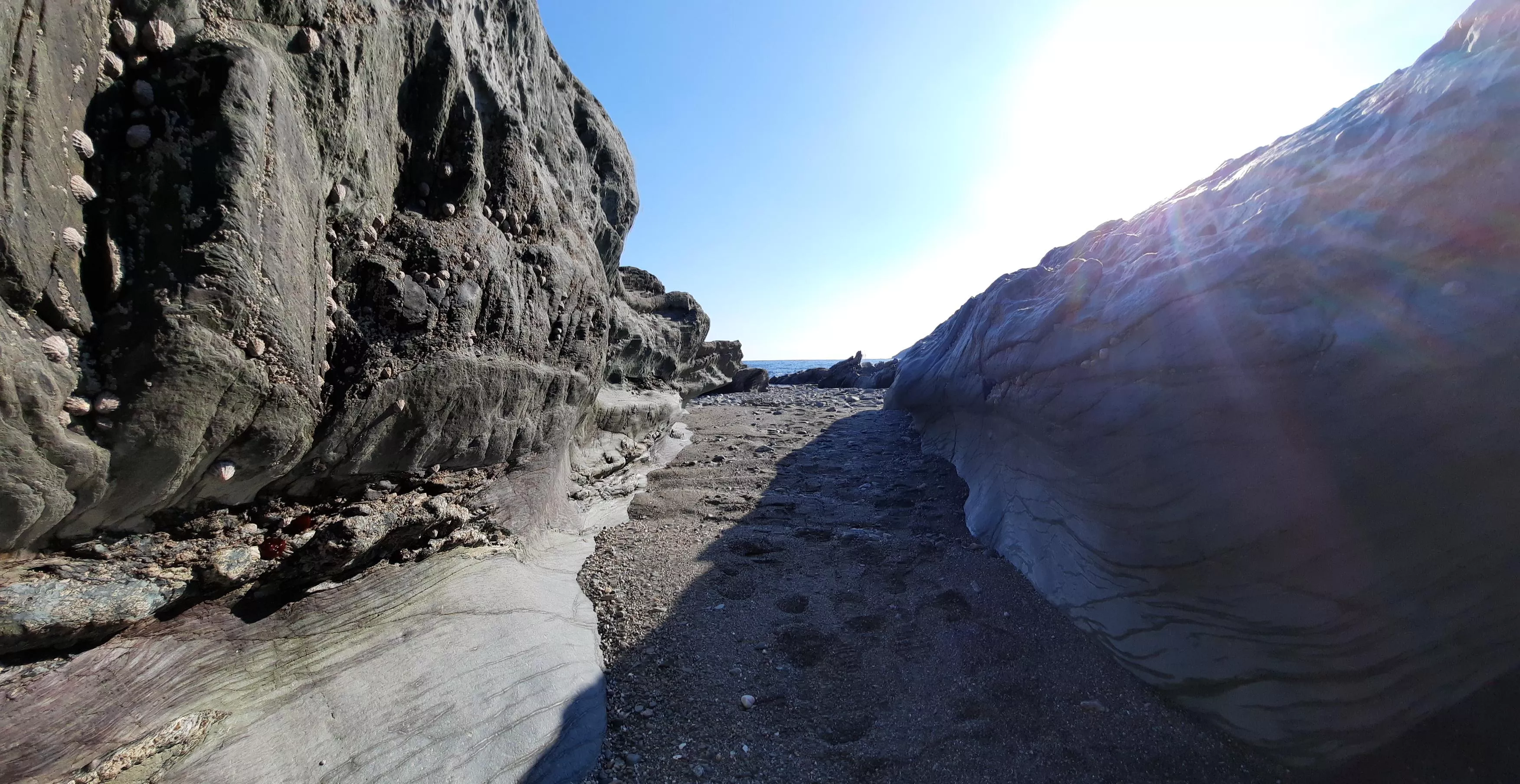 Who else loves the beach? posted by Haunting-Street-3664