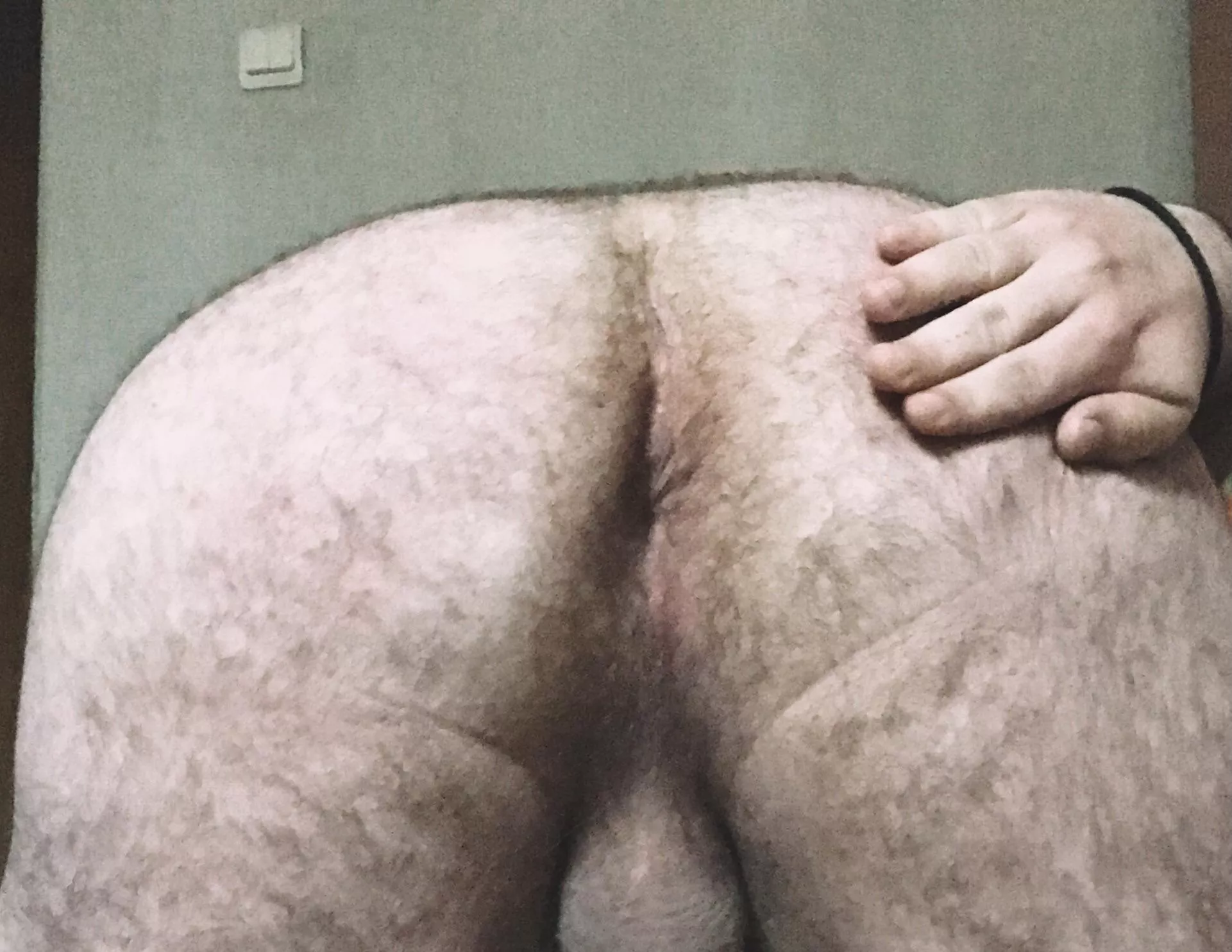 who is hungry? posted by bearlikeguy