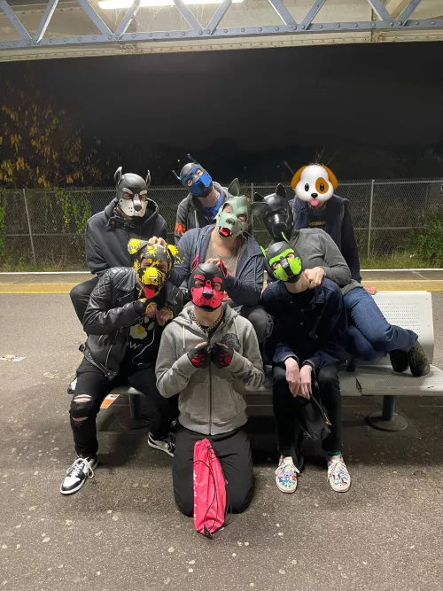 Who let the pups out? 😱 by BitingBuzzer