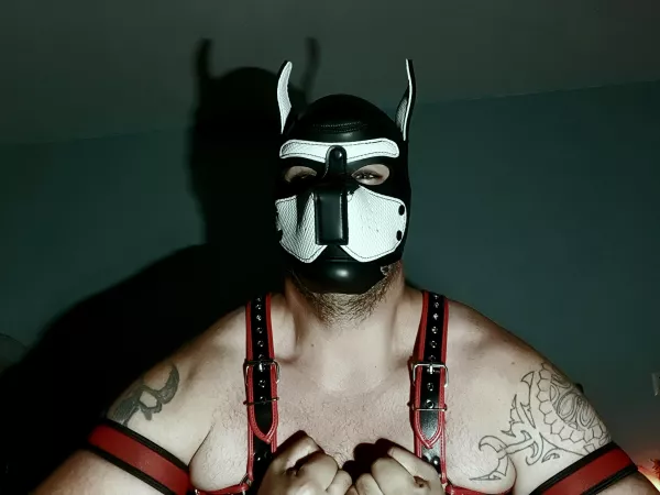 Who likes a big puppy 🐶 by FitForFans19