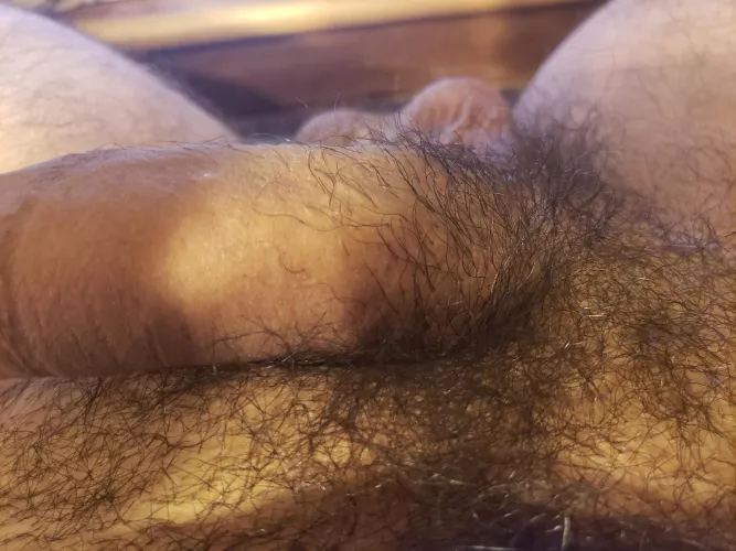 Who likes a hairy shaft? by nakednicky123