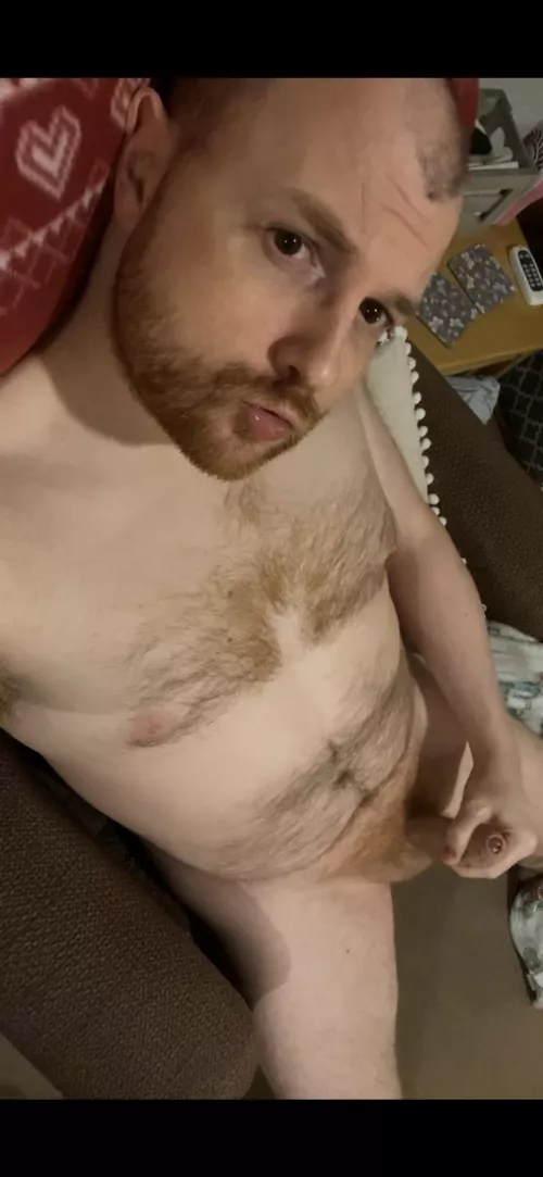 Who likes ginger? by RatArsedTry