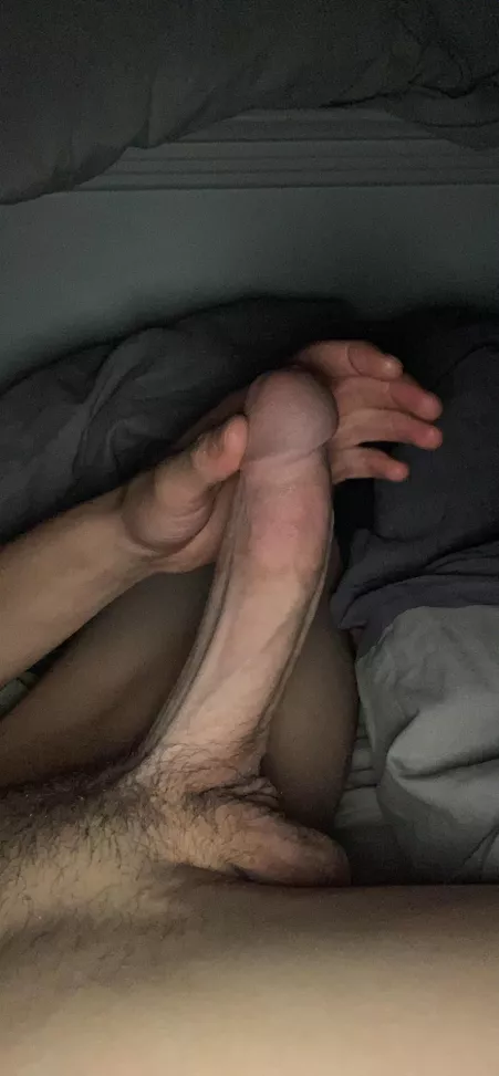 who likes my dick? send a sample to kik yourfav0ritebull by topboy144