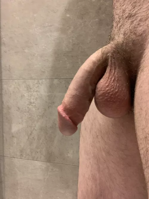 Who likes my side profile? by Greedy_Cheesecake_38