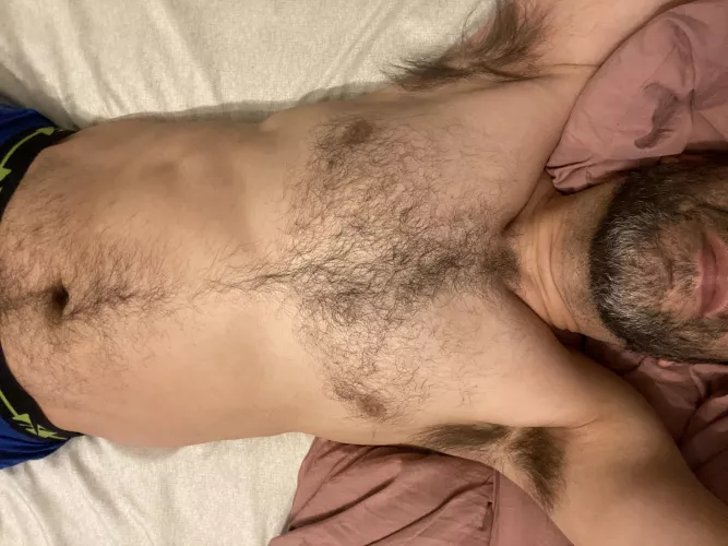 Who likes that early morning scent? by Curious1Eastcoast