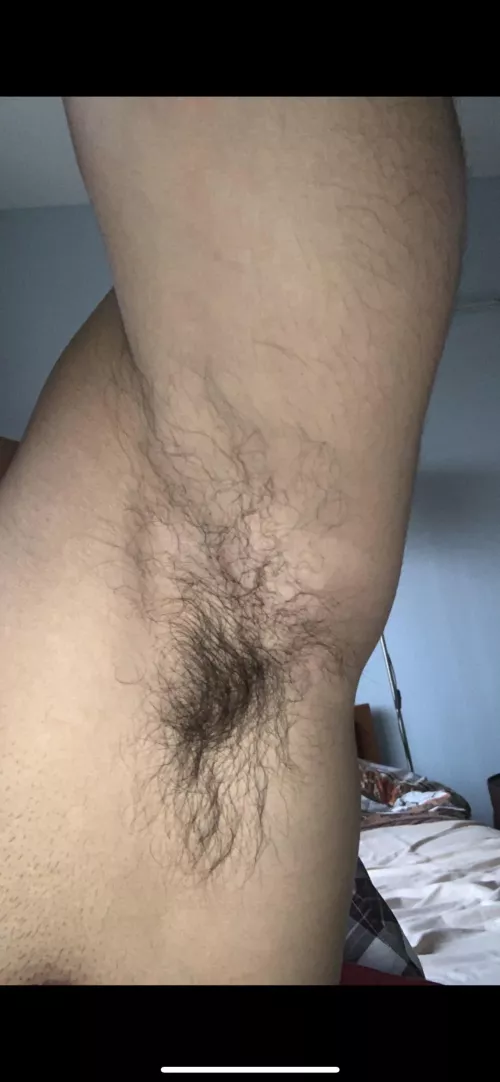 Who loves to sniff this by 19hugehunter