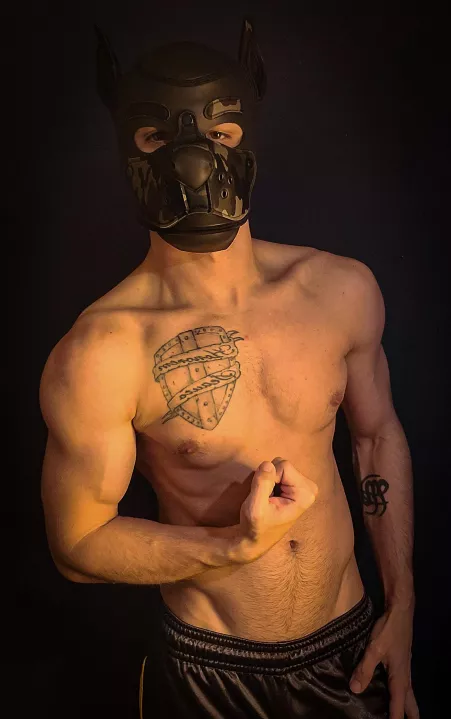 Who needs a trained puppy? Loves bones🐕 by christophercross95