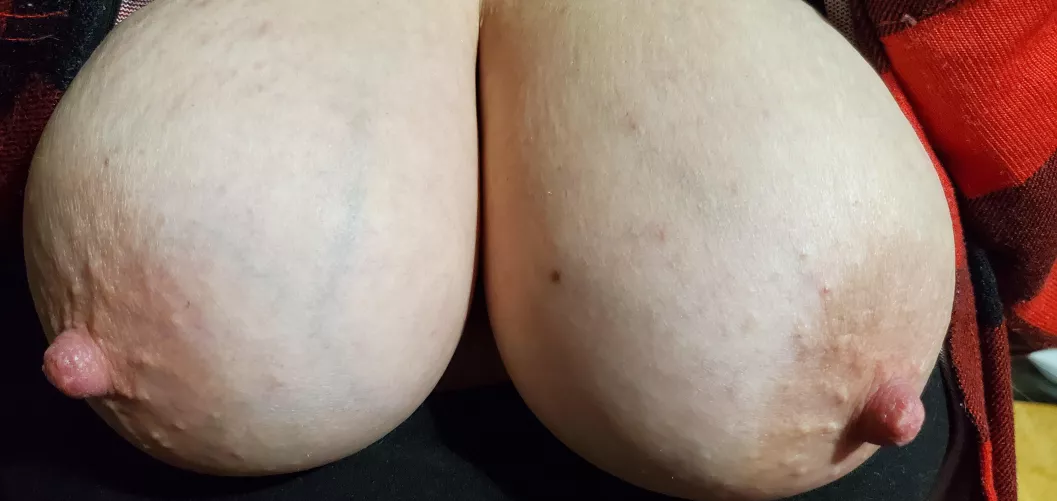 Who needs target practice? by penisaurous_rex