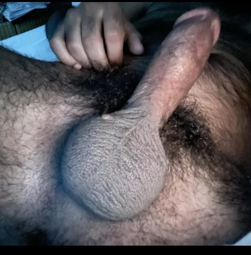 Who wanna feel deep in ass? by HairyversWantsDaddy