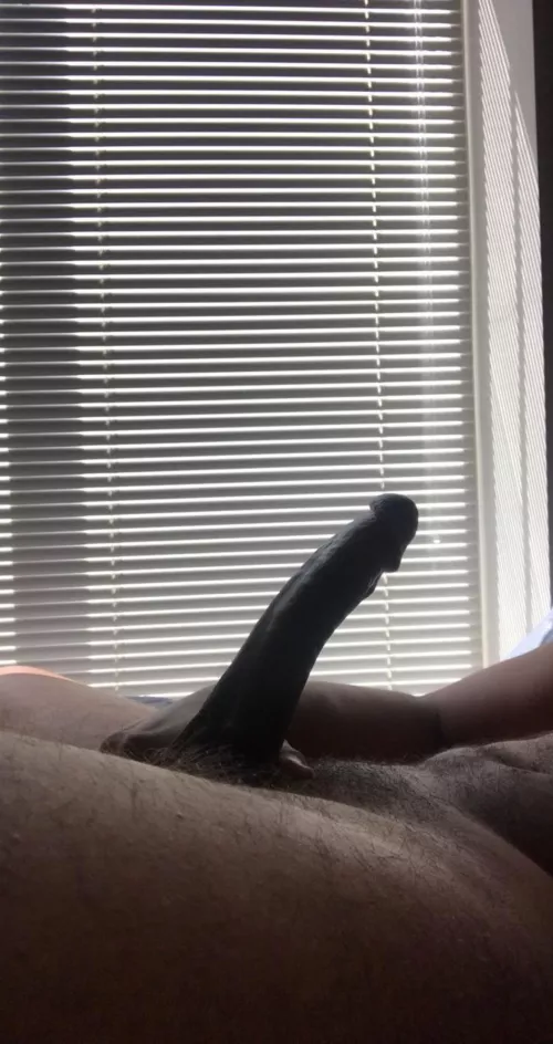 Who wanna serve this dick? Message me for more by jameztaylor33