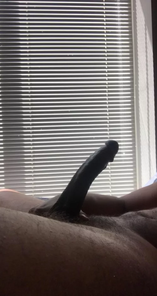 Who wanna serve this dick?? Message me for more by jameztaylor33