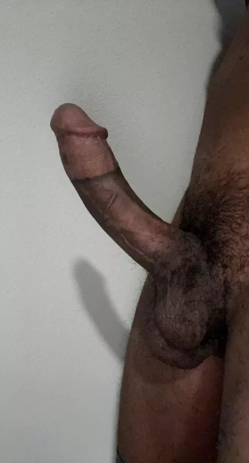 who want this dick in they mouf by imsoSerious9