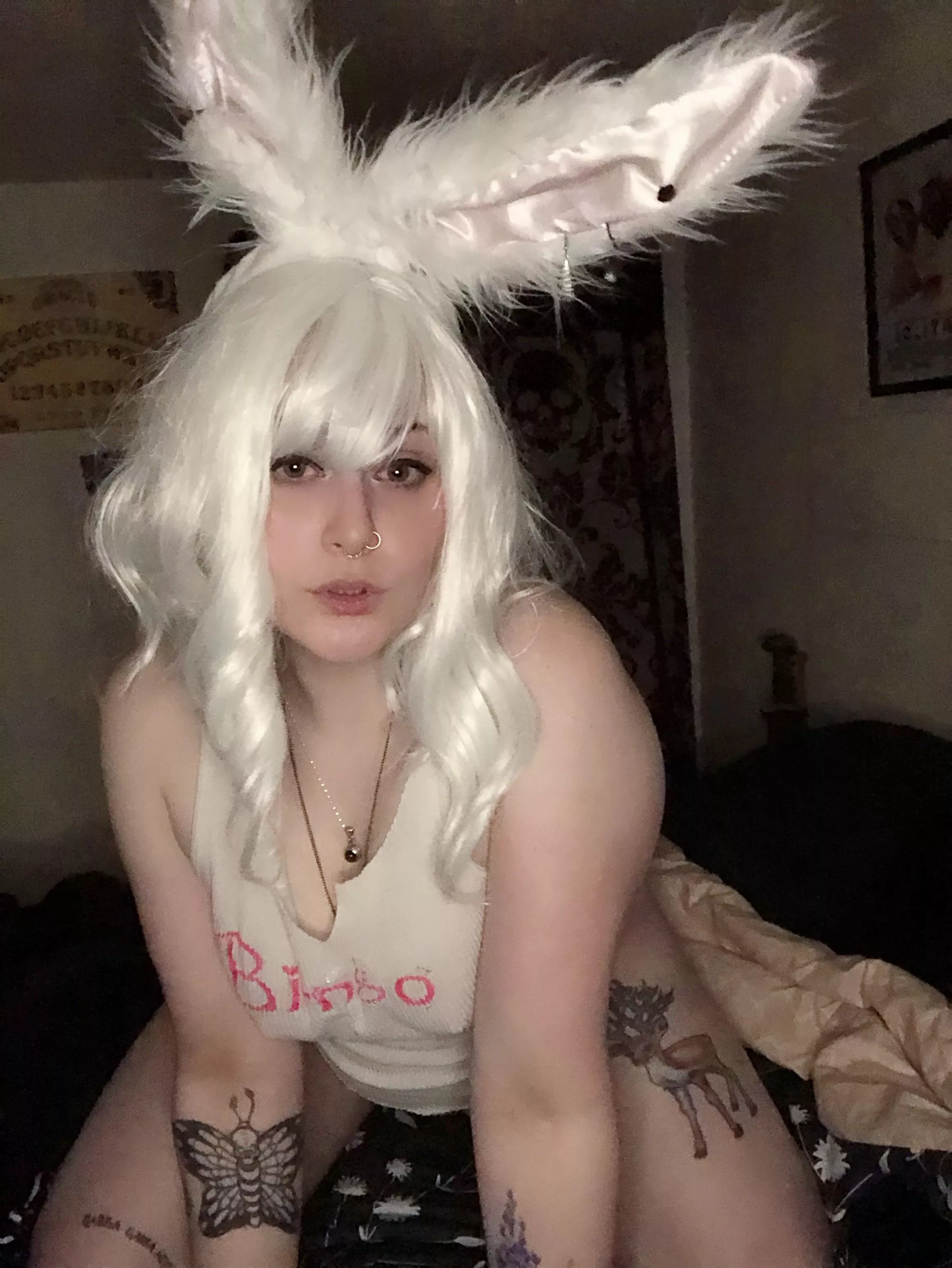 Who wants a Bimbo Bunny for a valentine? 🥺💕 posted by SkeletalWeepling