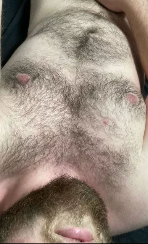 Who wants a ride? by StraightDadBod