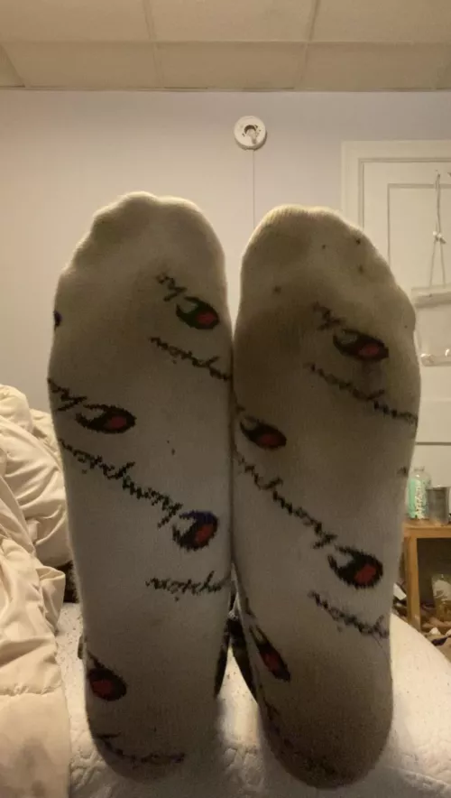 Who wants a sniff? by xxlill