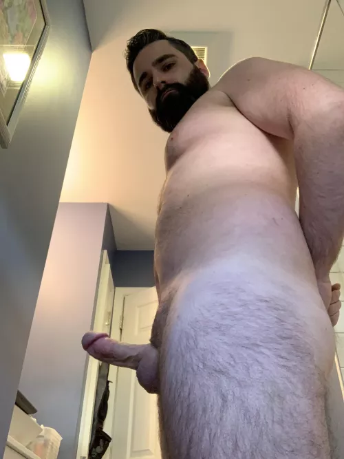 Who wants it? by Beardy890