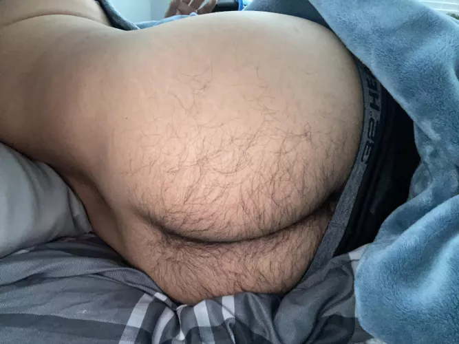 Who wants it? by bigdaddyjay41