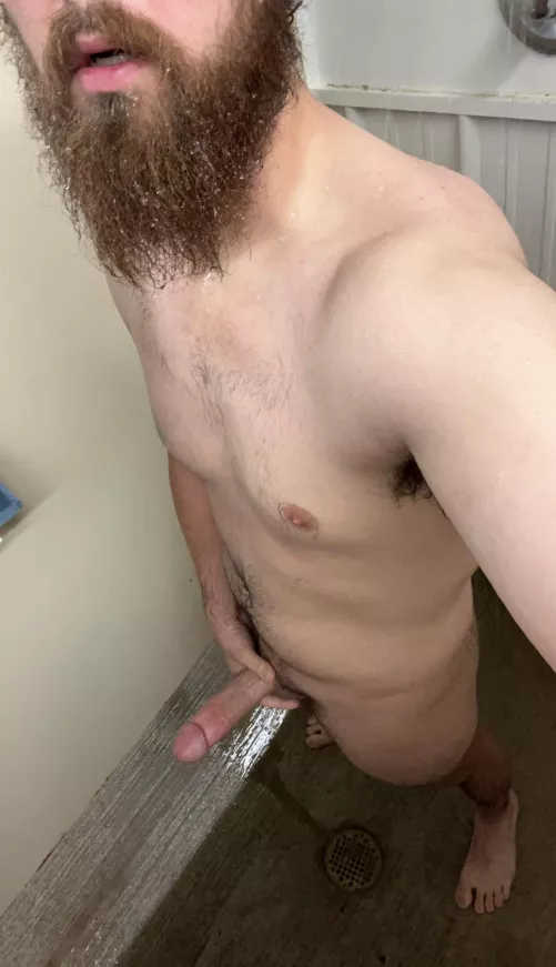 Who wants it first? by Ornery_Injury_7161