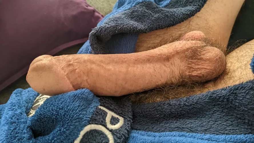 Who wants Scottish sausage? by highland-wolf