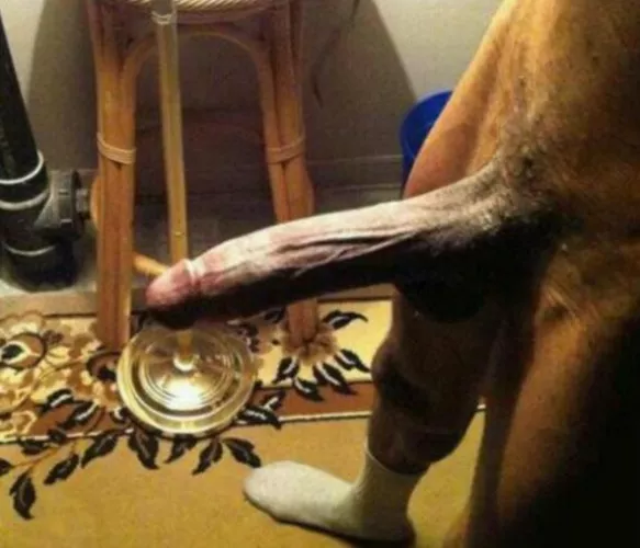 Who wants some BBC ? by James919_