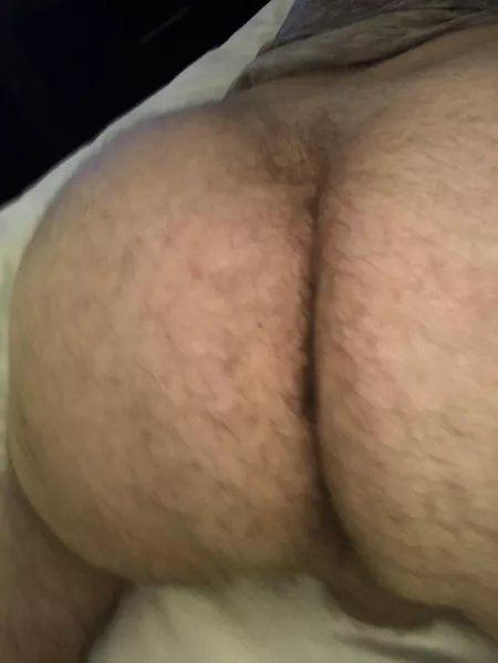 Who wants some chonk? by bopwobble