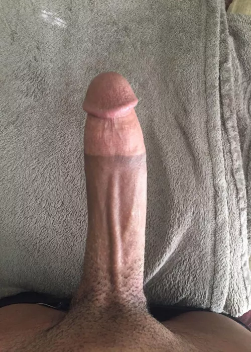 Who wants? by Bigbro4k