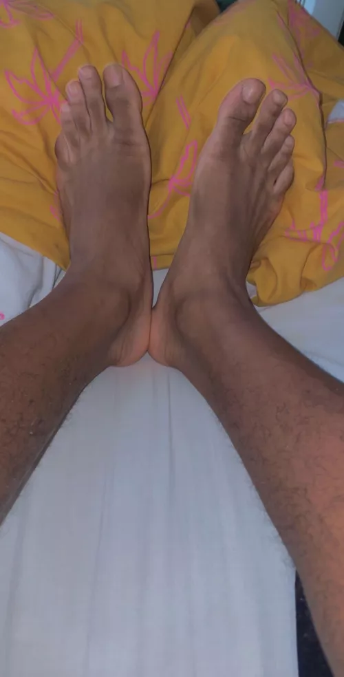 who wants them? by Sea-Cheetah-2107