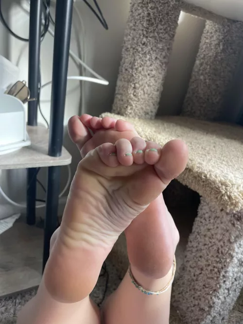 Who wants to be owned by Critical_Shelter_936