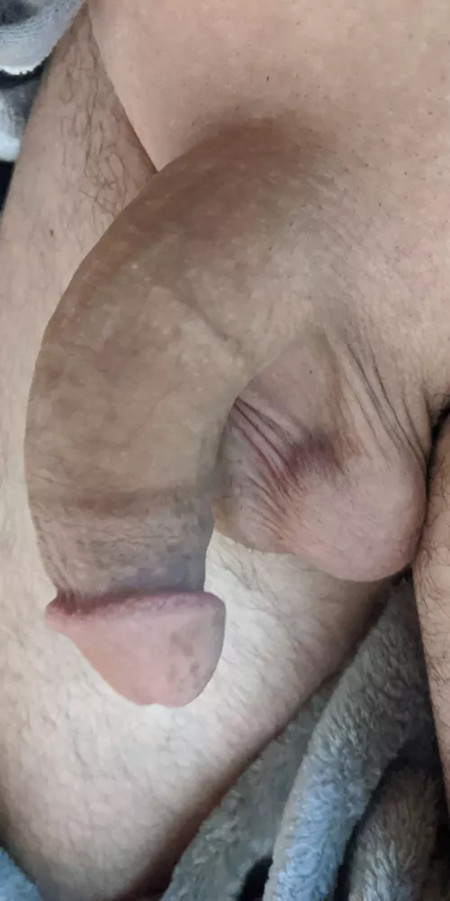 Who wants to come kiss my big soft cock and balls? by SixFootFour200lbs