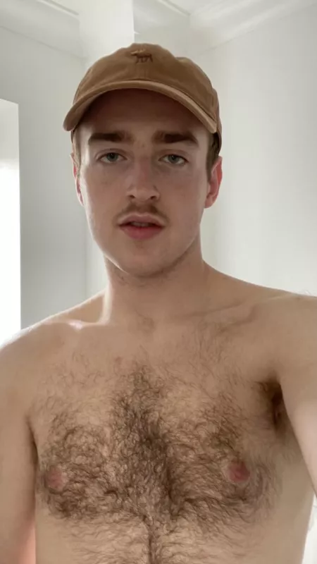 Who wants to cuddle? by hankyhoney