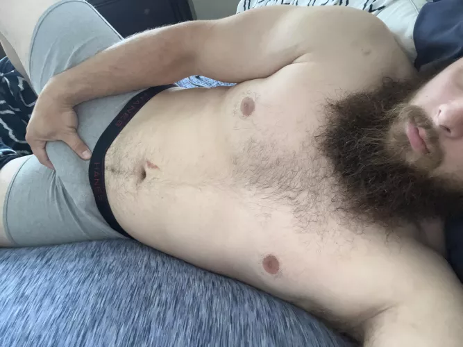 Who wants to cuddle? by Hat-rod