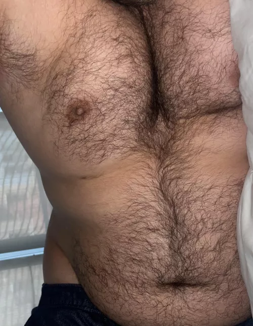 Who wants to cuddle? by Hairbair12