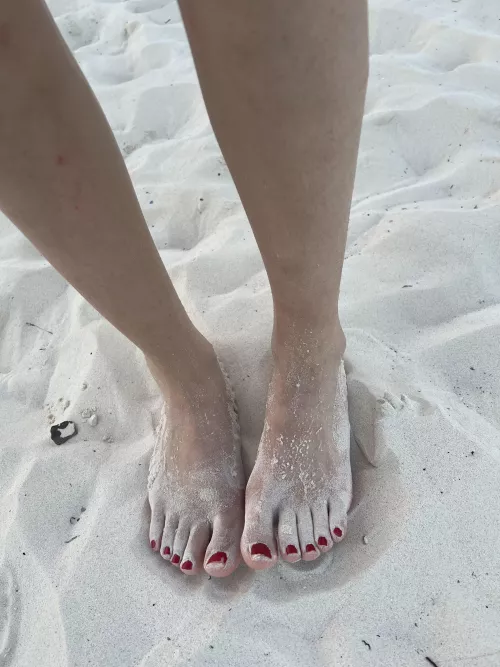 Who wants to eat my sandy feet? 🐶 by Iovedeathcherries