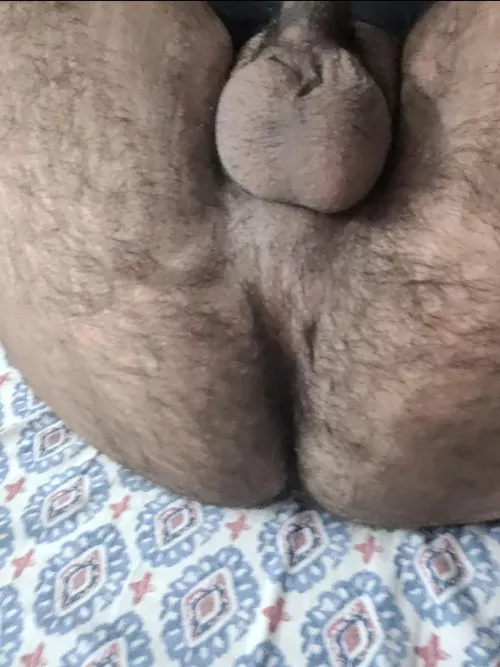 Who wants to eat out my hairy ass? 😈 by Limitless_Fun103